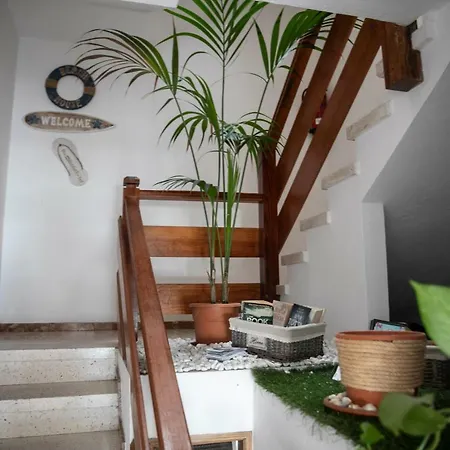 Apartman El Olivar *